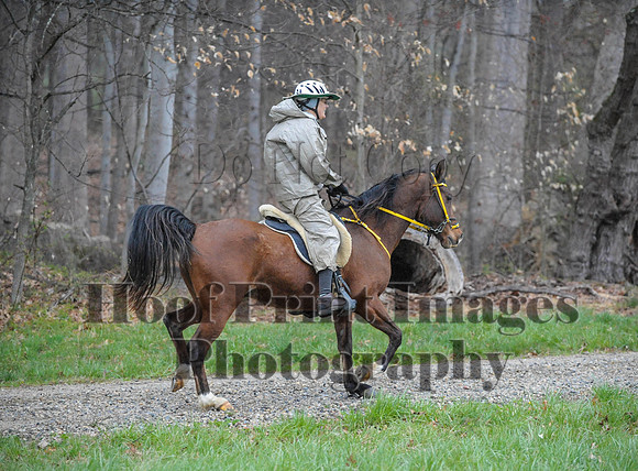 Foxcatcher(4-9-16)0403