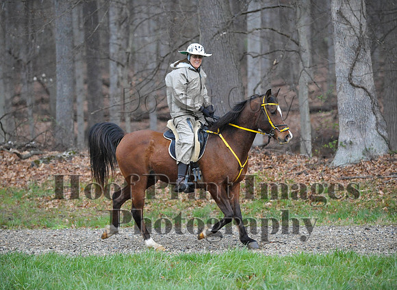 Foxcatcher(4-9-16)0396