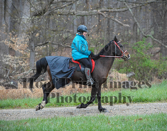 Foxcatcher(4-9-16)0269