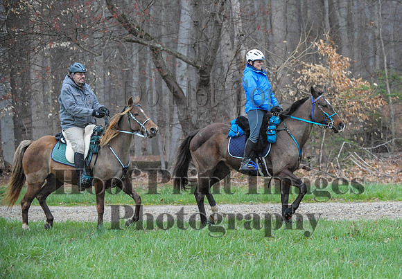 Foxcatcher(4-9-16)0315