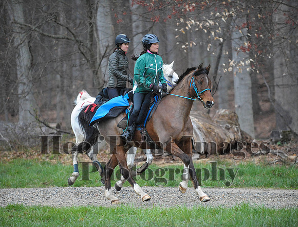 Foxcatcher(4-9-16)0124