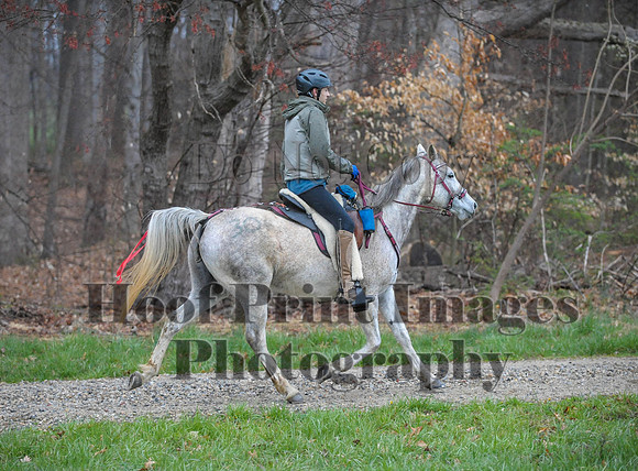 Foxcatcher(4-9-16)0469