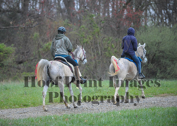 Foxcatcher(4-9-16)0474