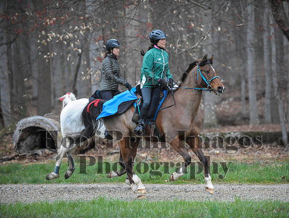 Foxcatcher(4-9-16)0125