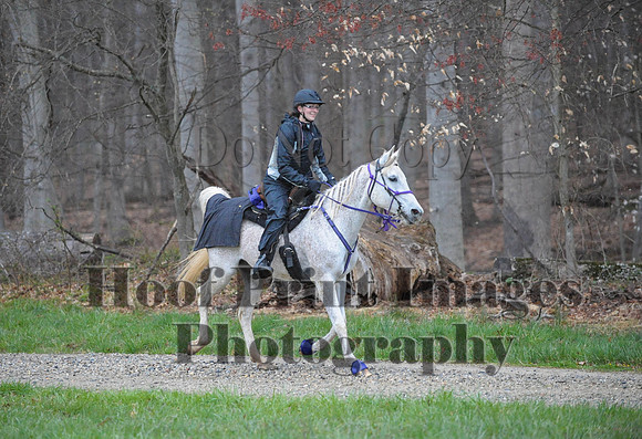 Foxcatcher(4-9-16)0055