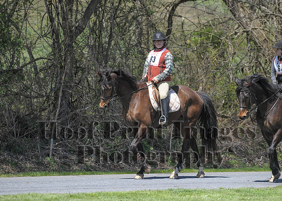 CheshirePC(4-16-16)0471