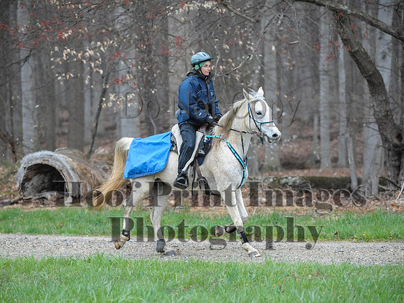 Foxcatcher(4-9-16)0182