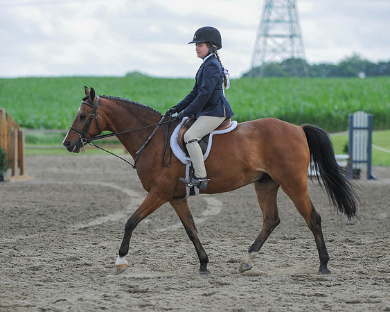 SC(6-28-14)SMPony0032