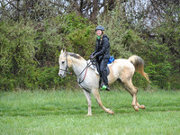 Foxcatcher(4-9-16)0531