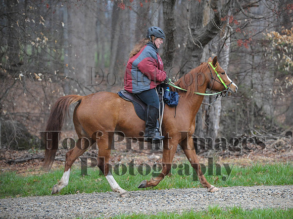 Foxcatcher(4-9-16)0426