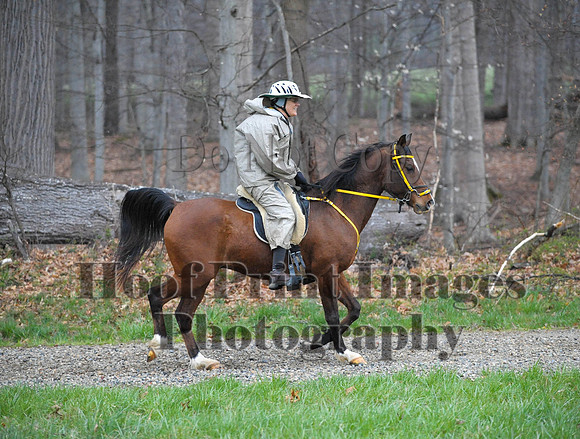 Foxcatcher(4-9-16)0400