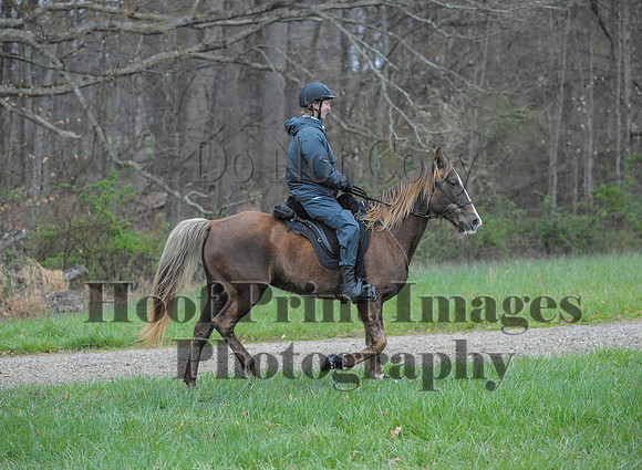 Foxcatcher(4-9-16)0098