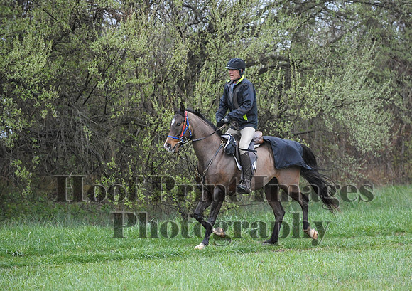 Foxcatcher(4-9-16)0546
