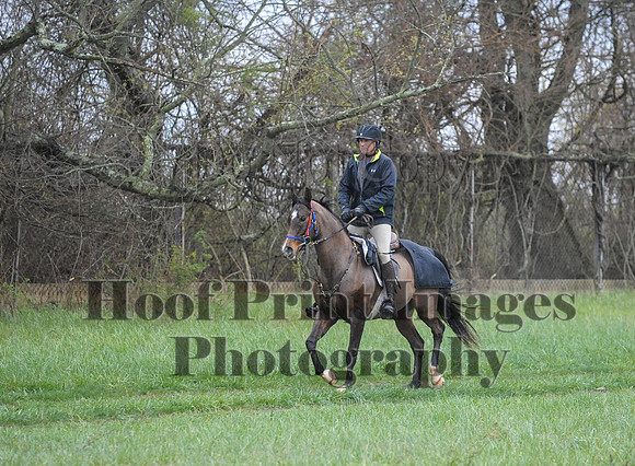 Foxcatcher(4-9-16)0545