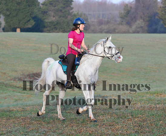 Foxcatcher(4-12-14)0328