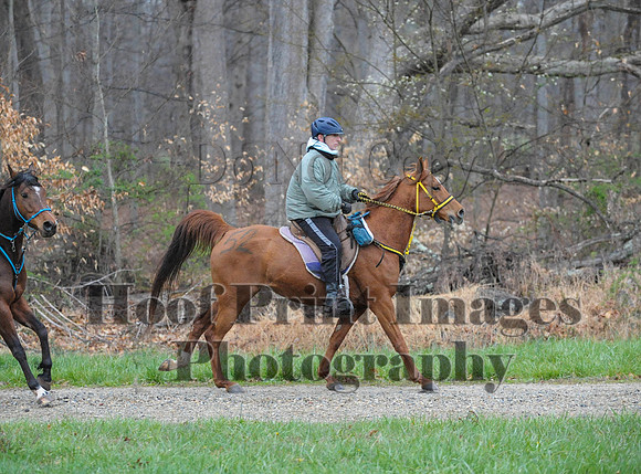 Foxcatcher(4-9-16)0219