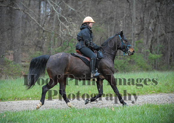 Foxcatcher(4-9-16)0196