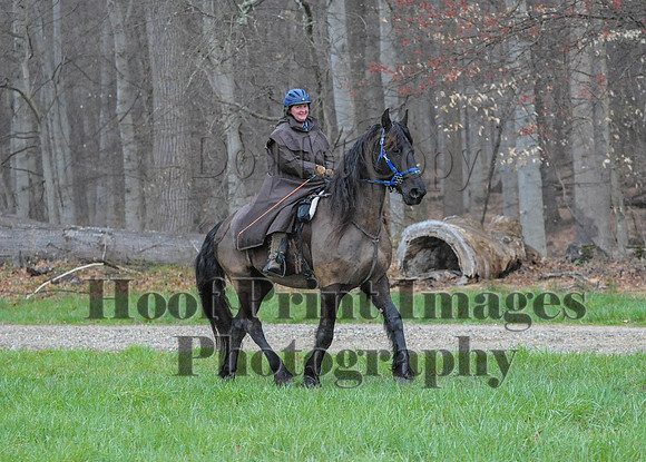 Foxcatcher(4-9-16)0322