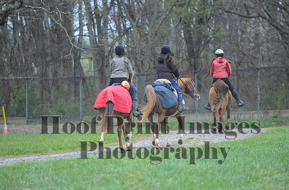 Foxcatcher(4-9-16)0248