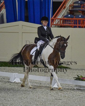 CWdressageII(8-21-16)1075