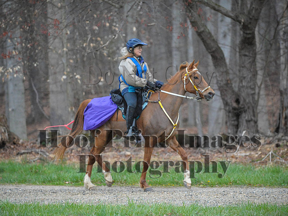 Foxcatcher(4-9-16)0181