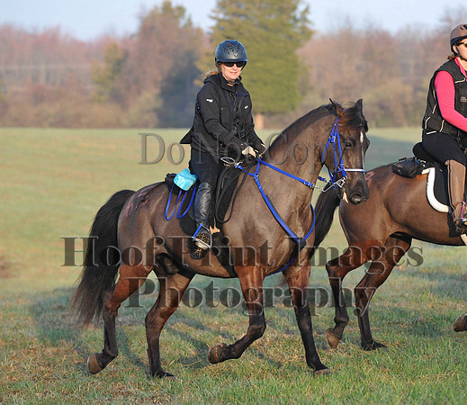 Foxcatcher(4-12-14)0262