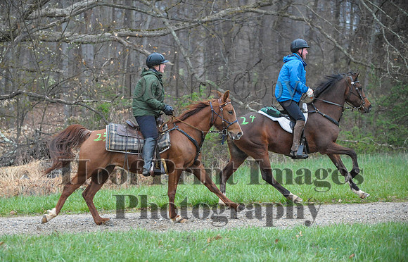 Foxcatcher(4-9-16)0307
