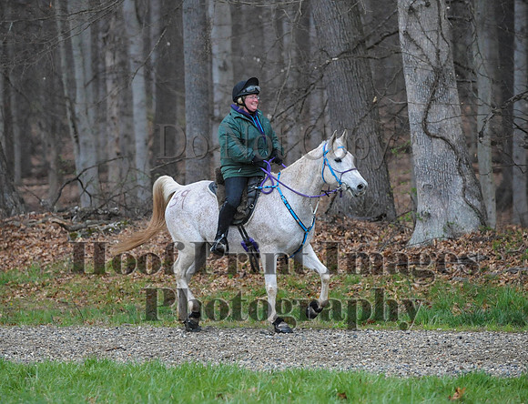 Foxcatcher(4-9-16)0482