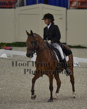 CWdressageII(8-21-16)0870