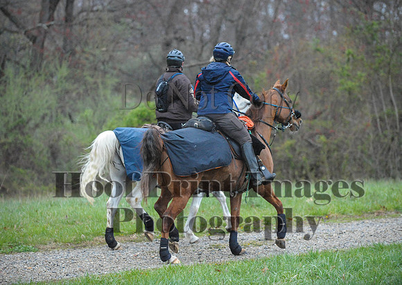 Foxcatcher(4-9-16)0171