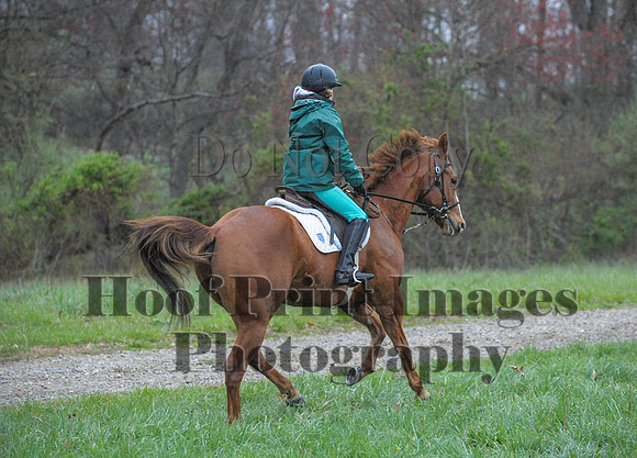 Foxcatcher(4-9-16)0357