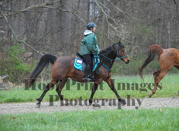 Foxcatcher(4-9-16)0224