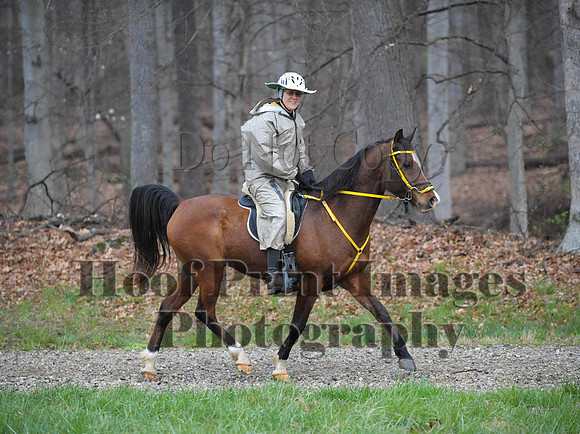Foxcatcher(4-9-16)0395