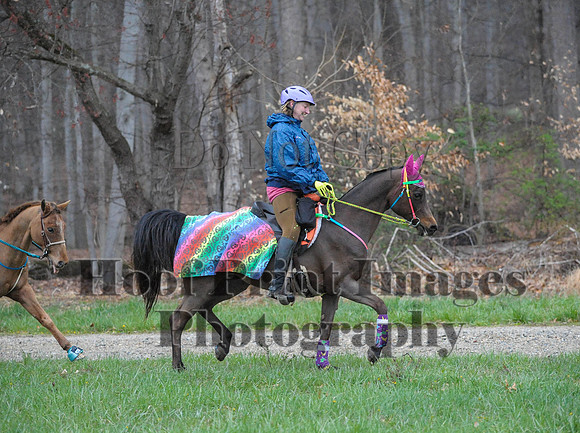 Foxcatcher(4-9-16)0080