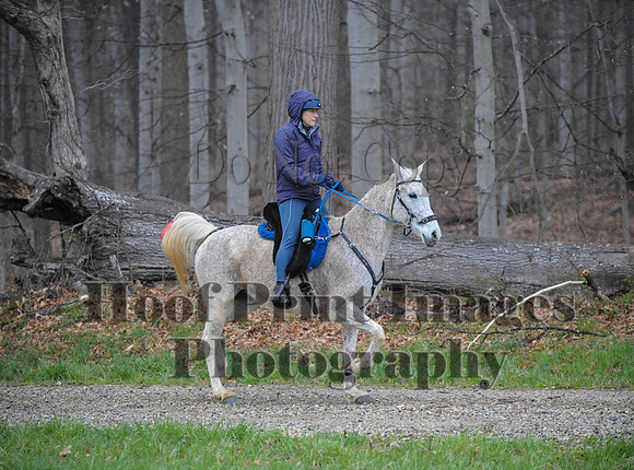 Foxcatcher(4-9-16)0456