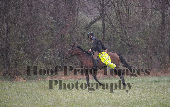 Foxcatcher(4-9-16)0920