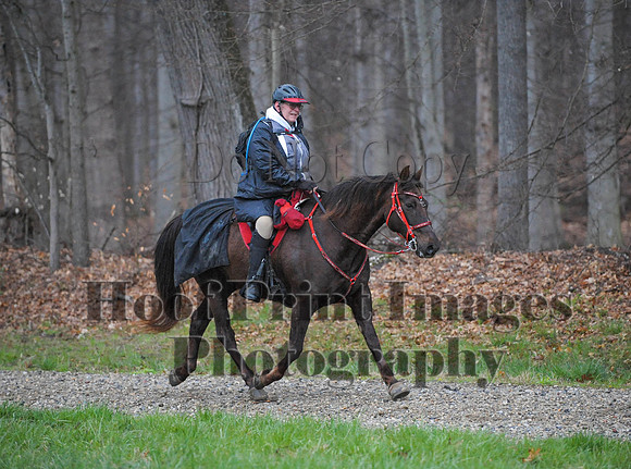 Foxcatcher(4-9-16)0433