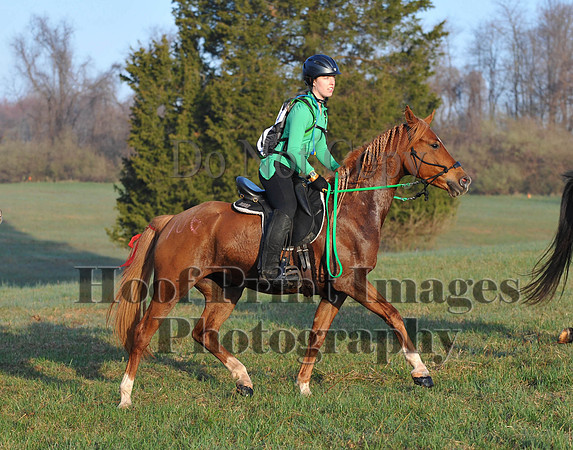 Foxcatcher(4-12-14)0445