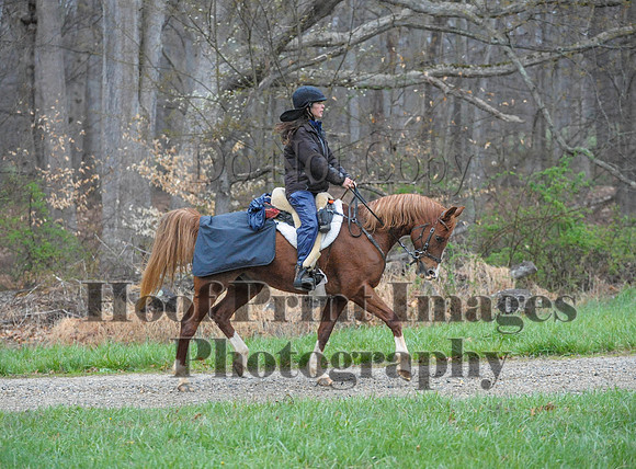 Foxcatcher(4-9-16)0236