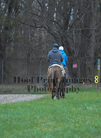 Foxcatcher(4-9-16)0332