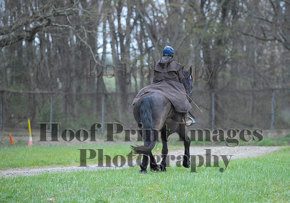 Foxcatcher(4-9-16)0333