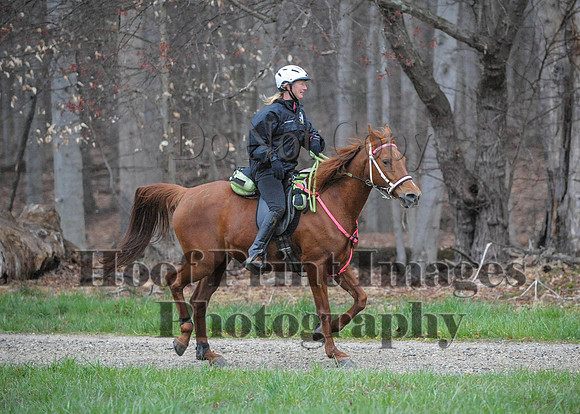 Foxcatcher(4-9-16)0062