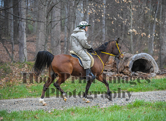 Foxcatcher(4-9-16)0401