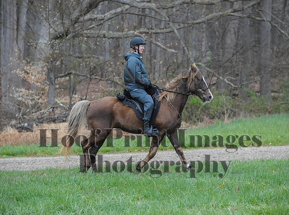 Foxcatcher(4-9-16)0095