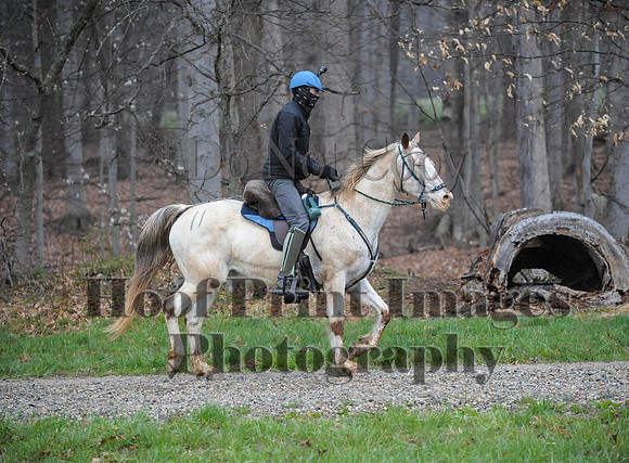 Foxcatcher(4-9-16)0444