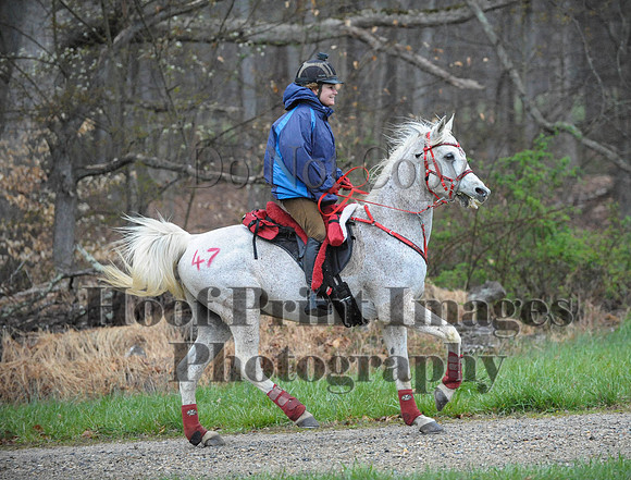 Foxcatcher(4-9-16)0153