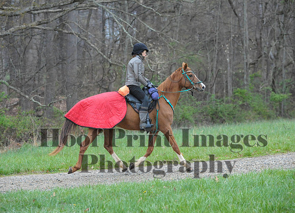 Foxcatcher(4-9-16)0243
