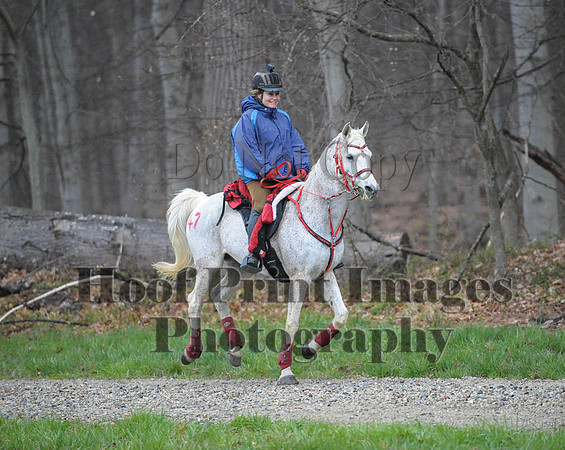 Foxcatcher(4-9-16)0144