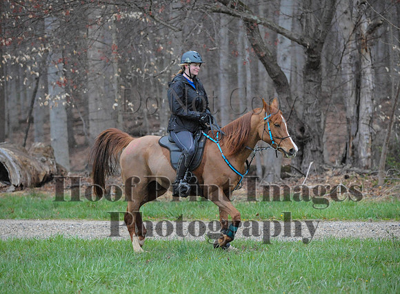 Foxcatcher(4-9-16)0070