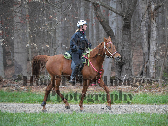 Foxcatcher(4-9-16)0063